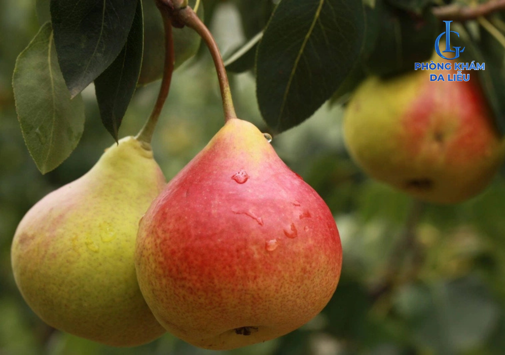 ăn lê có nổi mụn không