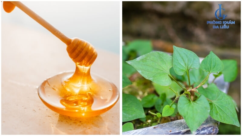 Mật ong và rau diếp cá