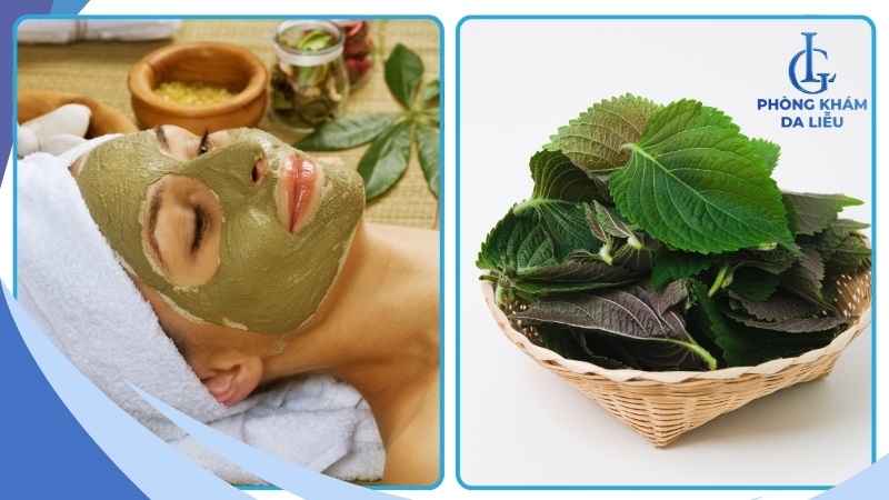 Đắp mặt nạ lá tía tô với mật ong