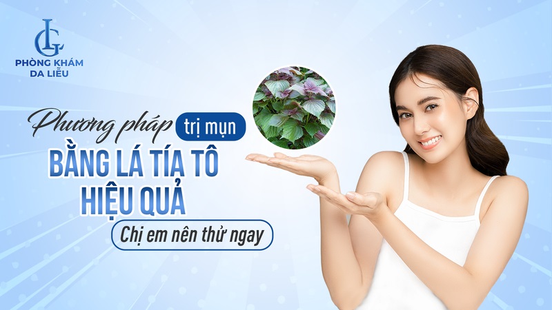 cách trị mụn bằng lá tía tô