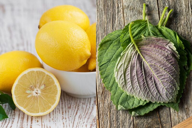 chanh và lá tía tô