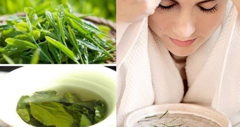 Lá trà xanh khi xông giúp giảm viêm sưng mụn
